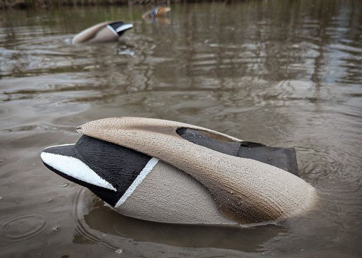 The Flashback | Drake Mallard