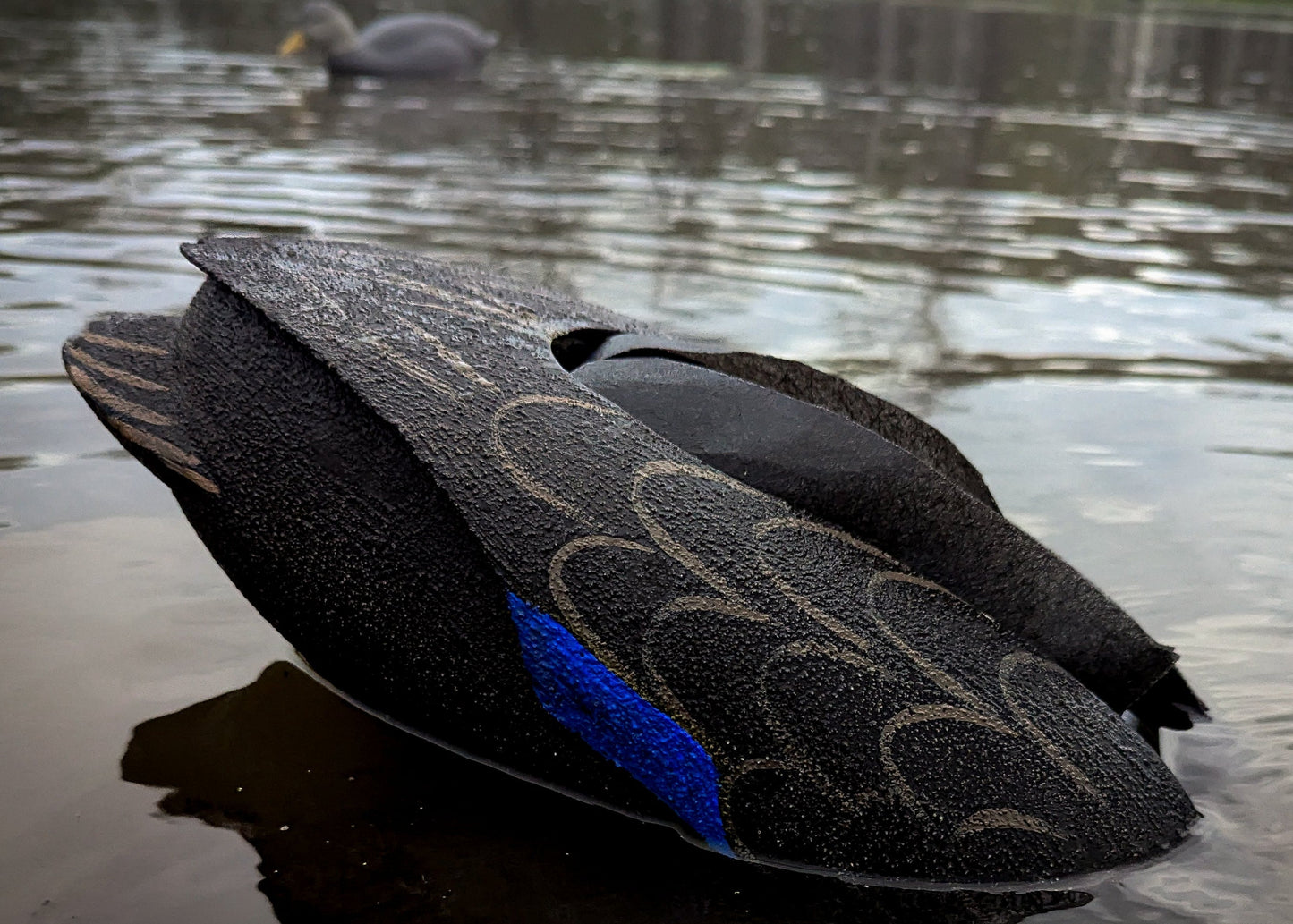 The Flashback | Black Duck