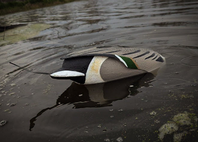 The Flashback | Drake Pintail