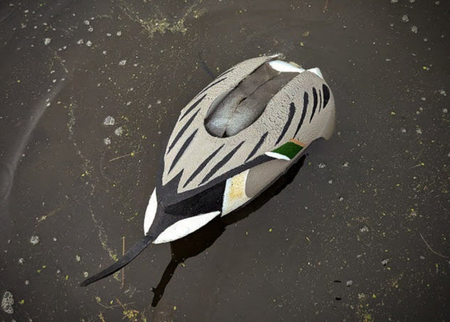 The Flashback | Drake Pintail