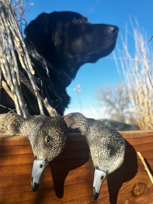 Try Hunting “Small” with Flashbacks