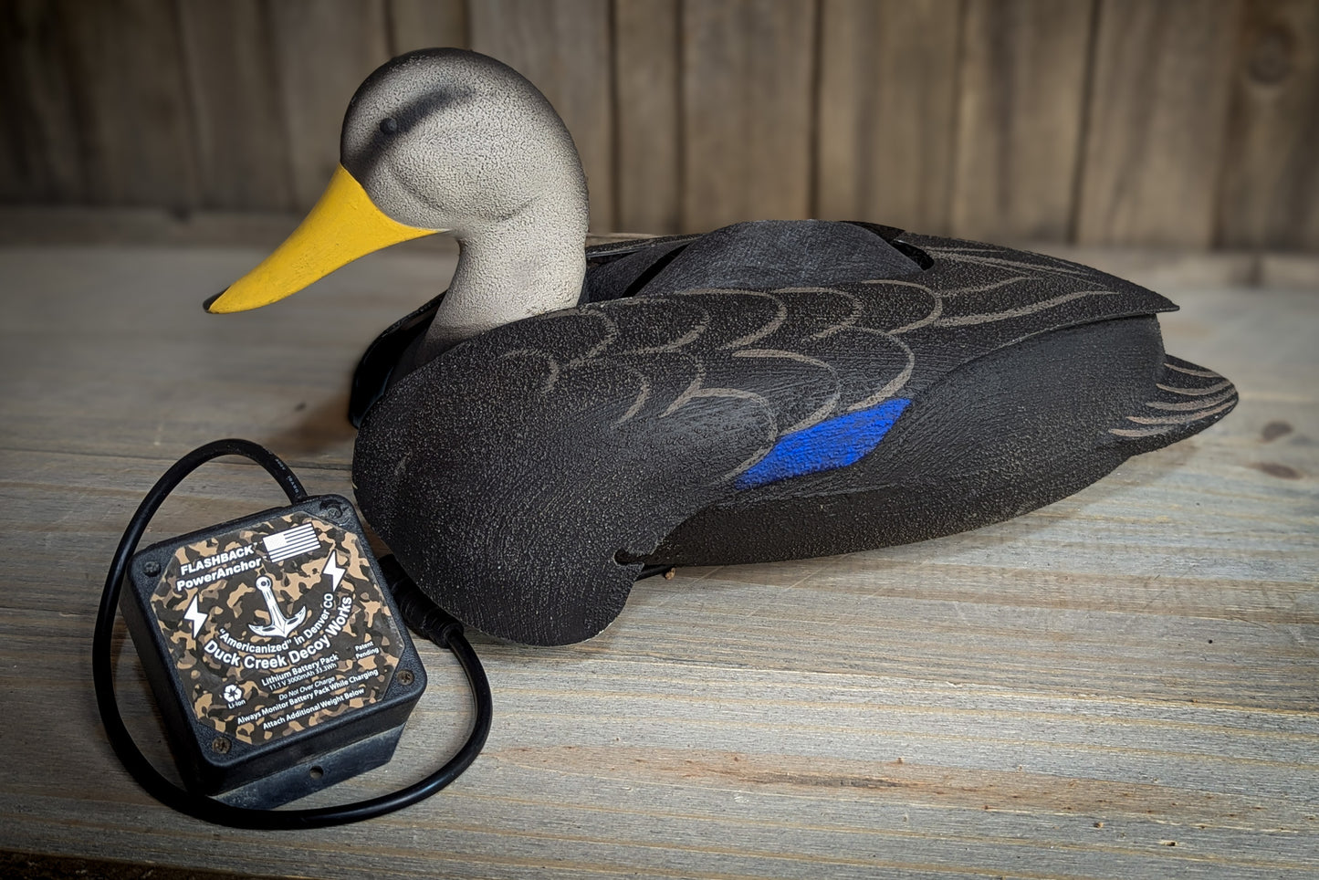 Flashback  - Blemished Black Duck