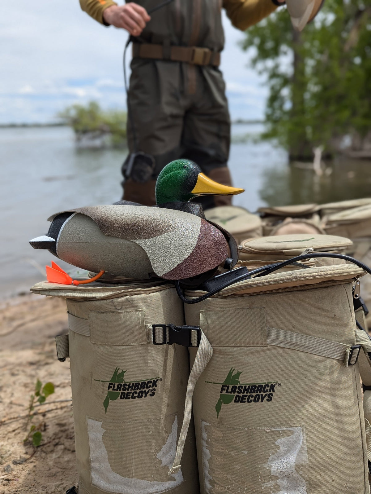 Two Flashback decoy bags on the shore with a Flashback drake mallard