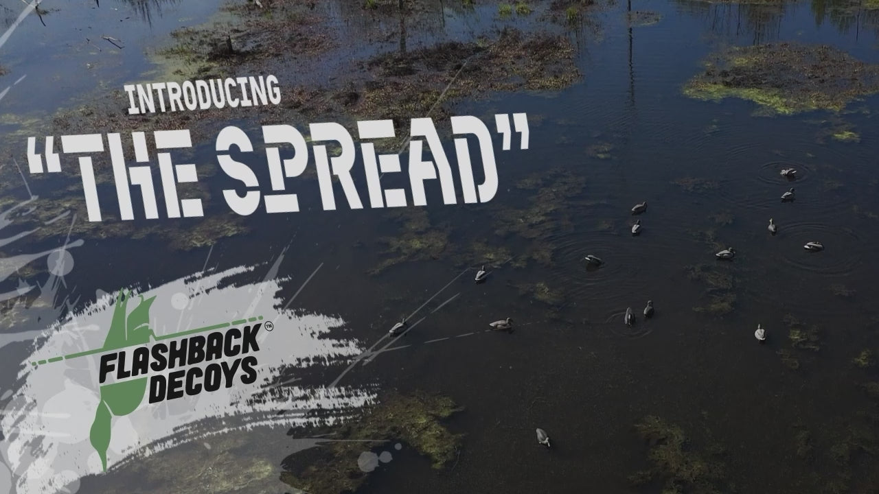 Load video: 